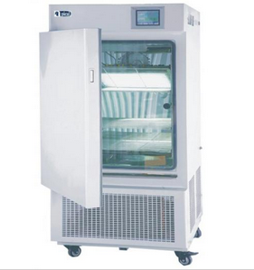 上海慧泰大型藥品實(shí)驗(yàn)穩(wěn)定箱LHH-500SD